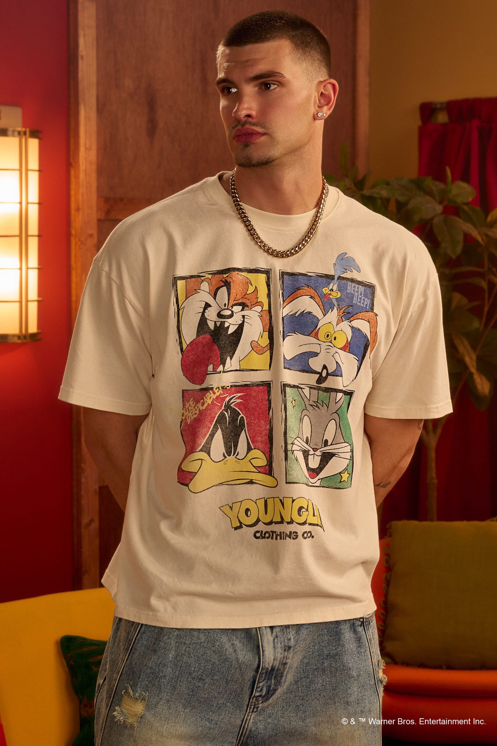4291 - Looney Tunes Vintage Tees - Image 5